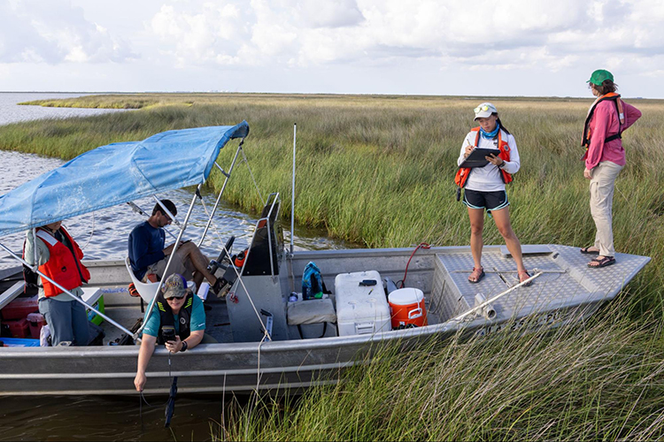 Image: Restoring the Gulf: 15 Years After the Deepwater Horizon Oil Spill