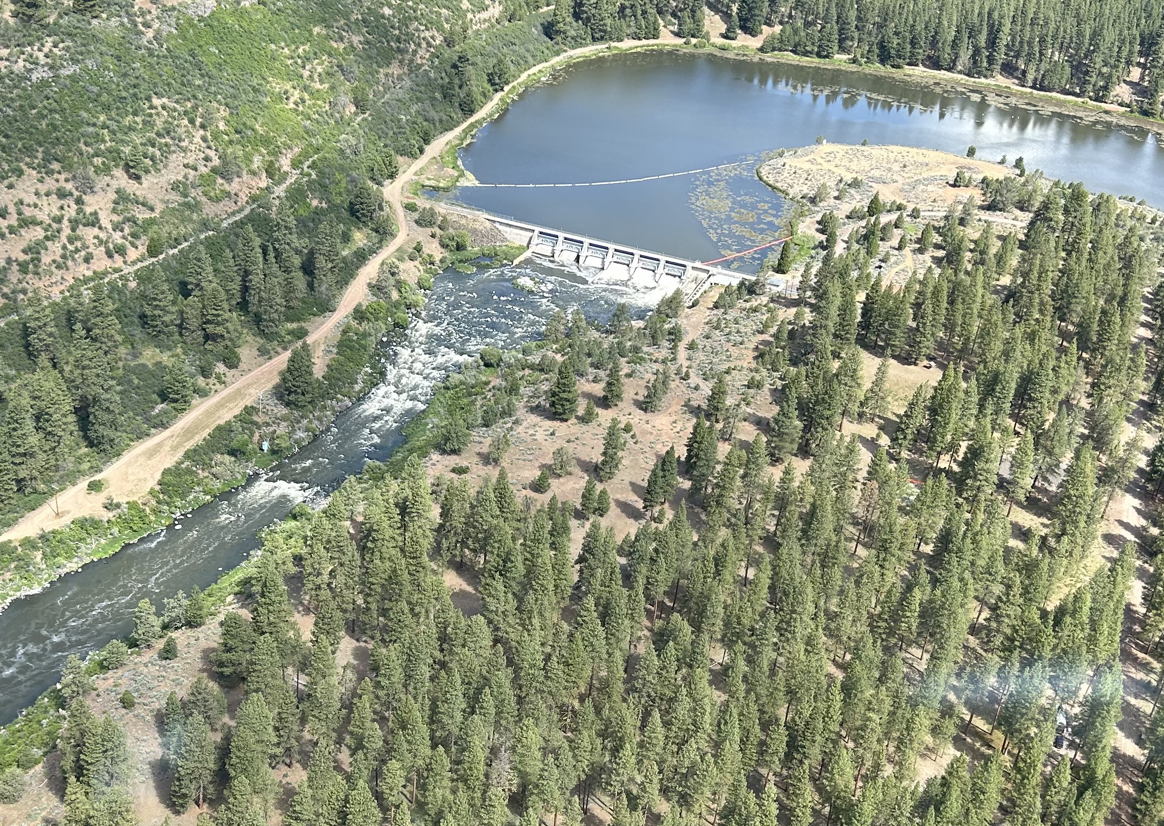 Keno Dam on the Klamath River in Oregon located at river mile 236.4. (Credit: Mark Hereford/ODFW)