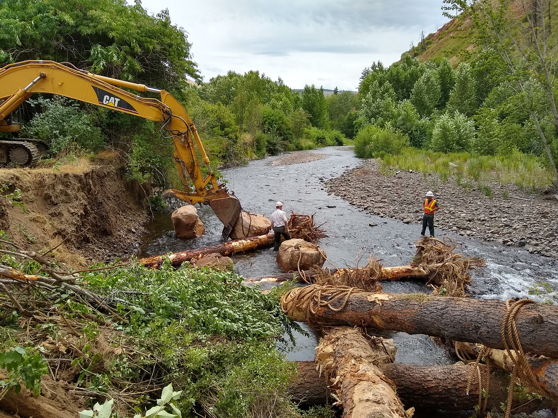 Image: Pacific Coastal Salmon Recovery Fund