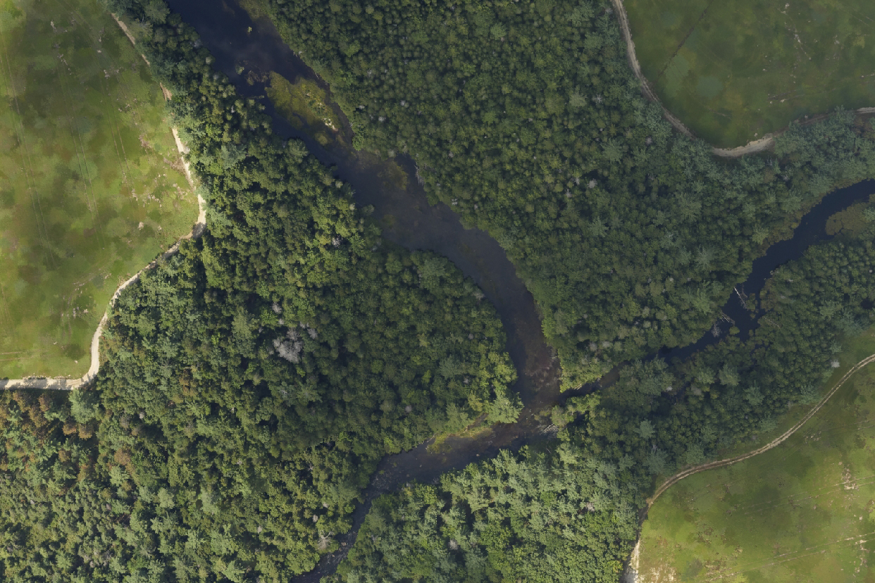  At top the aerial photo of the river, nested within a heavily forested area. Beneath is a thermal image capturing surface temperatures using infrared imaging. Much of the river is in bright reds, oranges, and pinks with a few dark blue patches of colder water.
