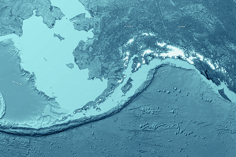 Image: A Few Surprises in Alaska’s Marine Environment in 2024