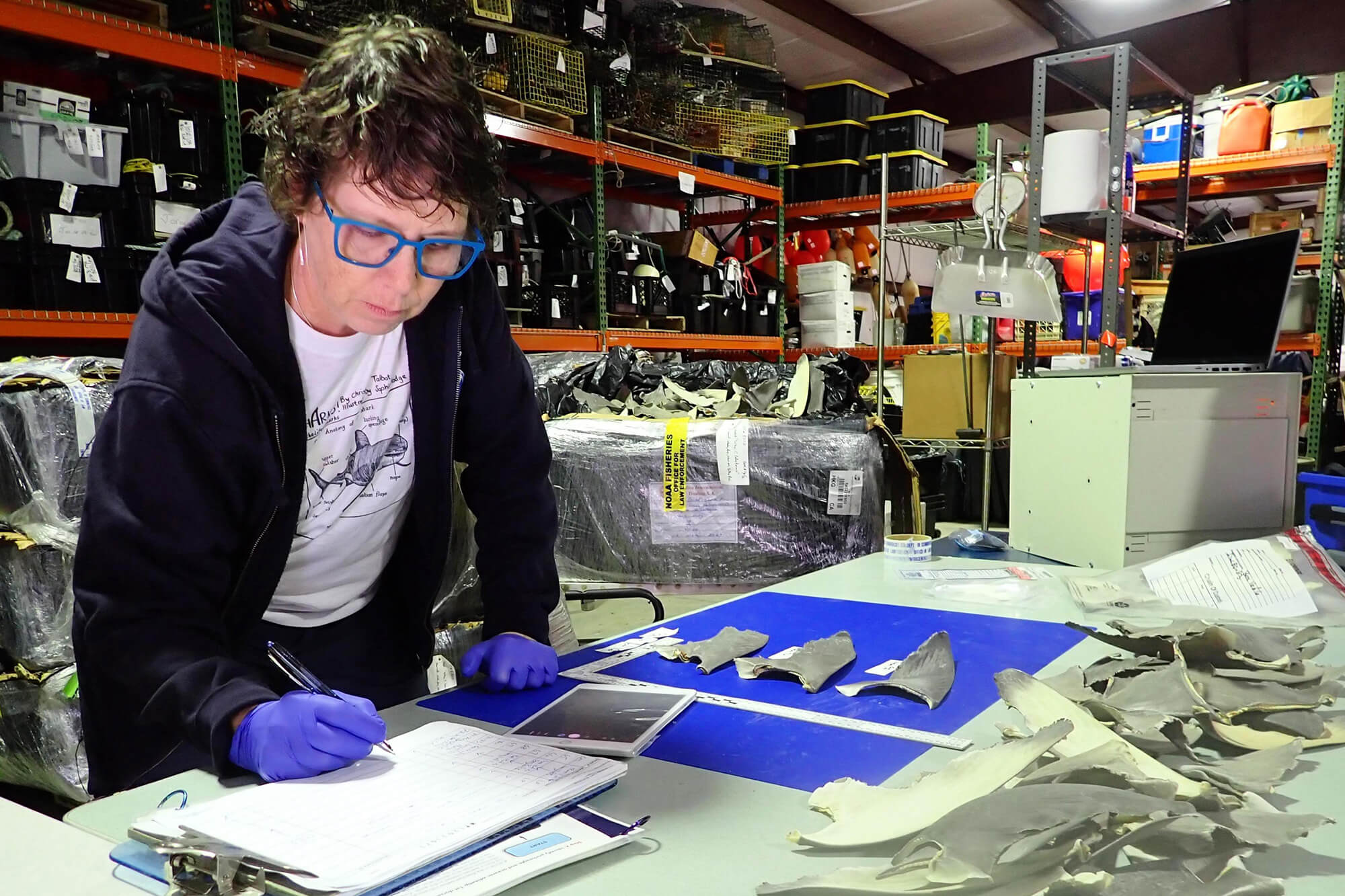 Image: NOAA Marine Forensic Lab Completes Rigorous Independent Assessment
