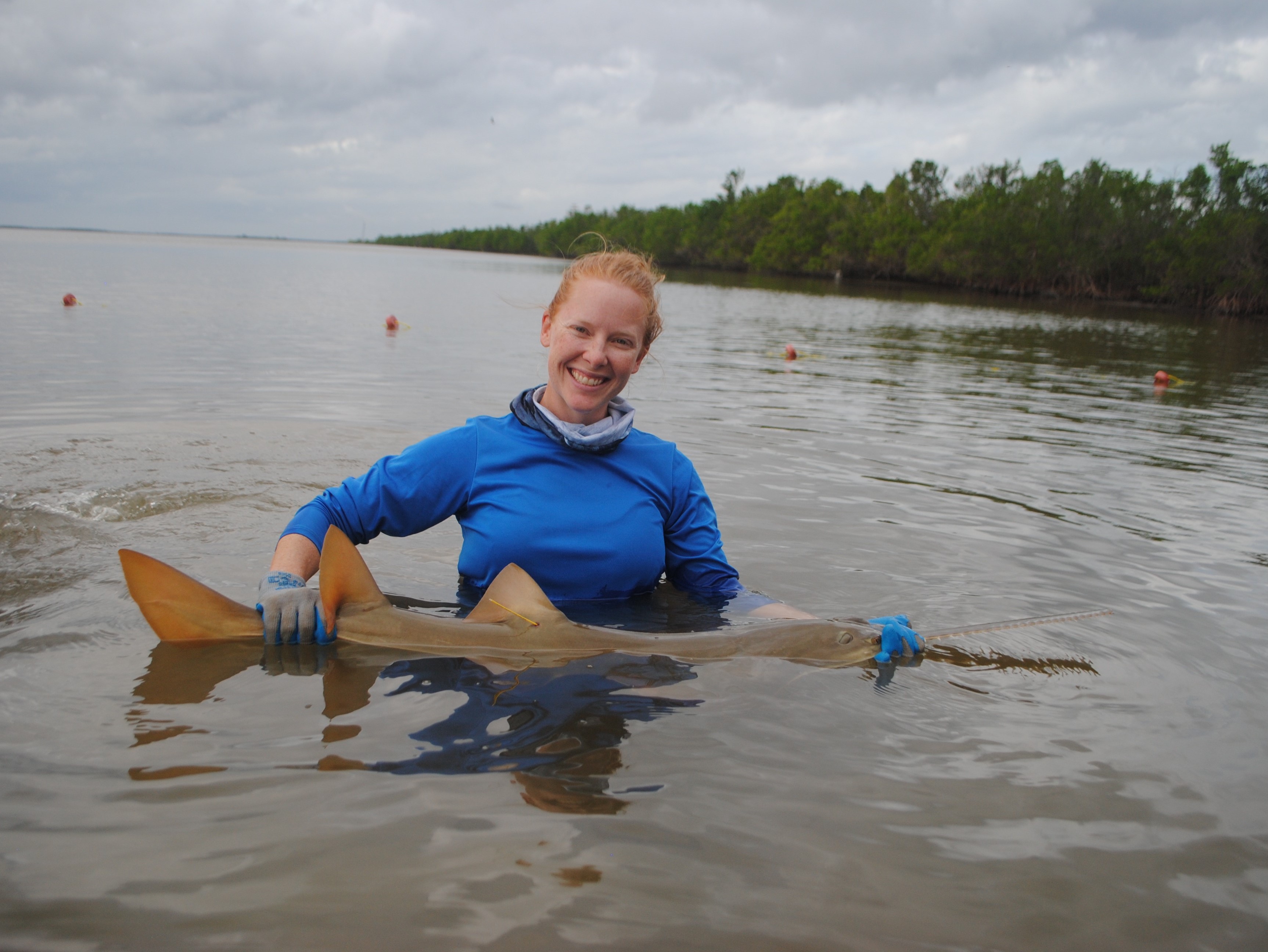 Image: Meet Andrea Kroetz, Assistant Scientist