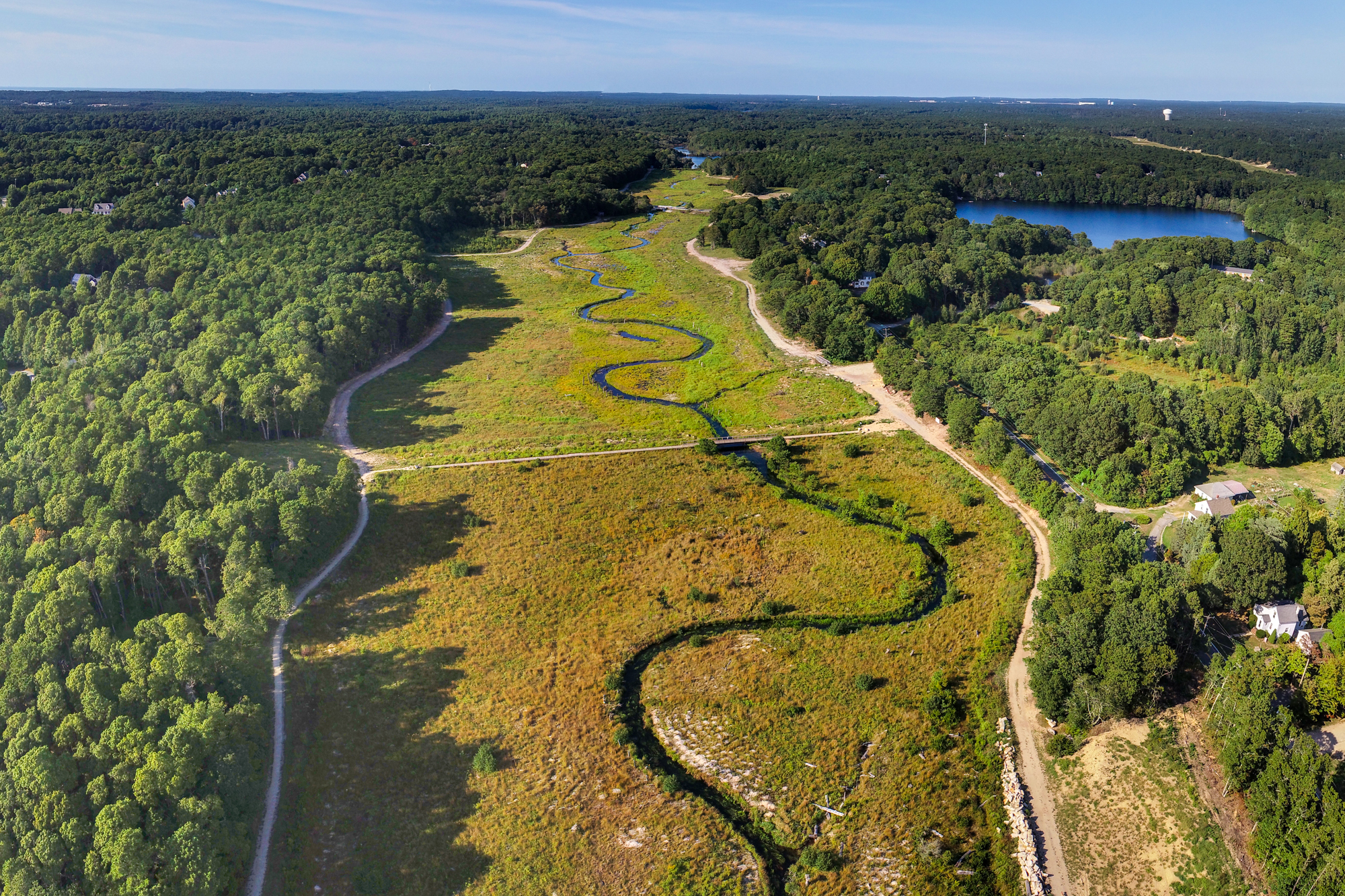 Reviving river herring – U.S. Fish and Wildlife Service (.gov)
