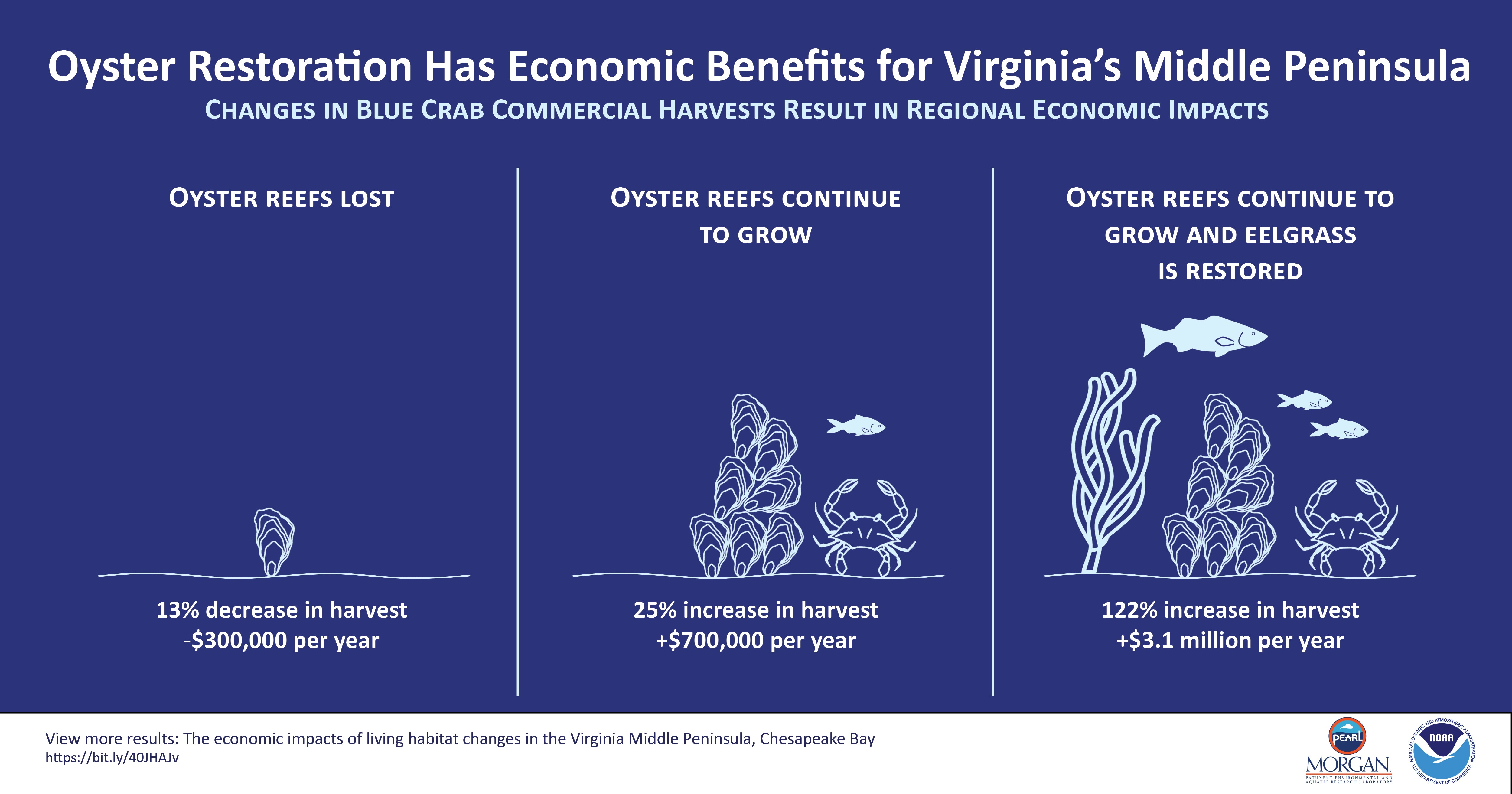 An infographic shows the results of three different scenarios, and their economic effects, potentially facing oyster reefs in Virginia's Middle Peninsula.