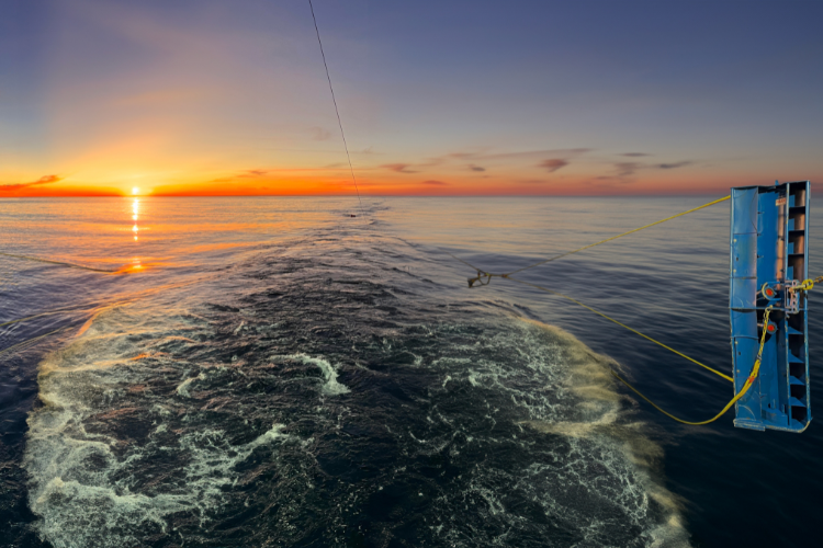 Image: Fishing Industry Leaders Join NOAA Scientists to Test New Survey Net That Gathers Improved Data in Less Time and at Lower Cost