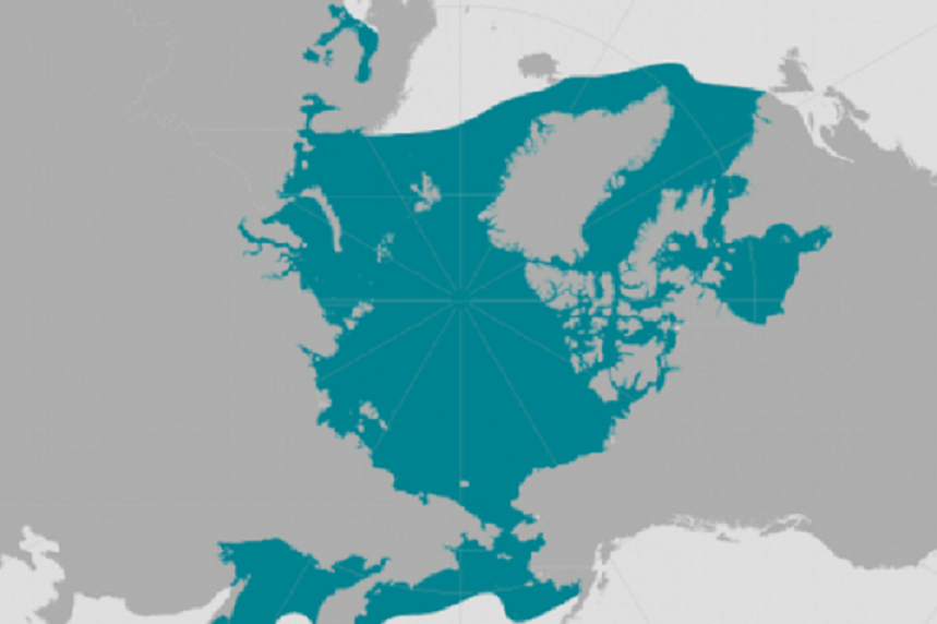 map showing ringed seal population range