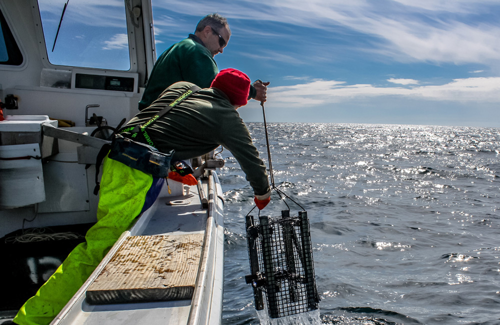 Image: Fishing Industry, NEFSC Team Up for Gulf of Maine Longline Study