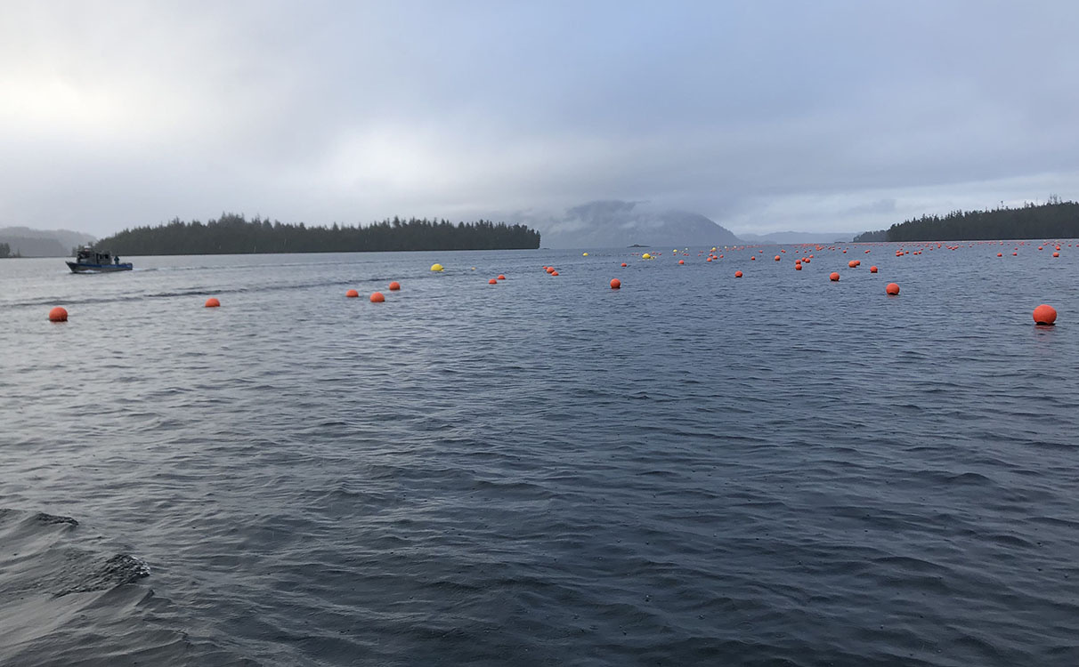 Image: Alaska’s Blue Economy Includes Both Mariculture and Wild Caught Seafoods