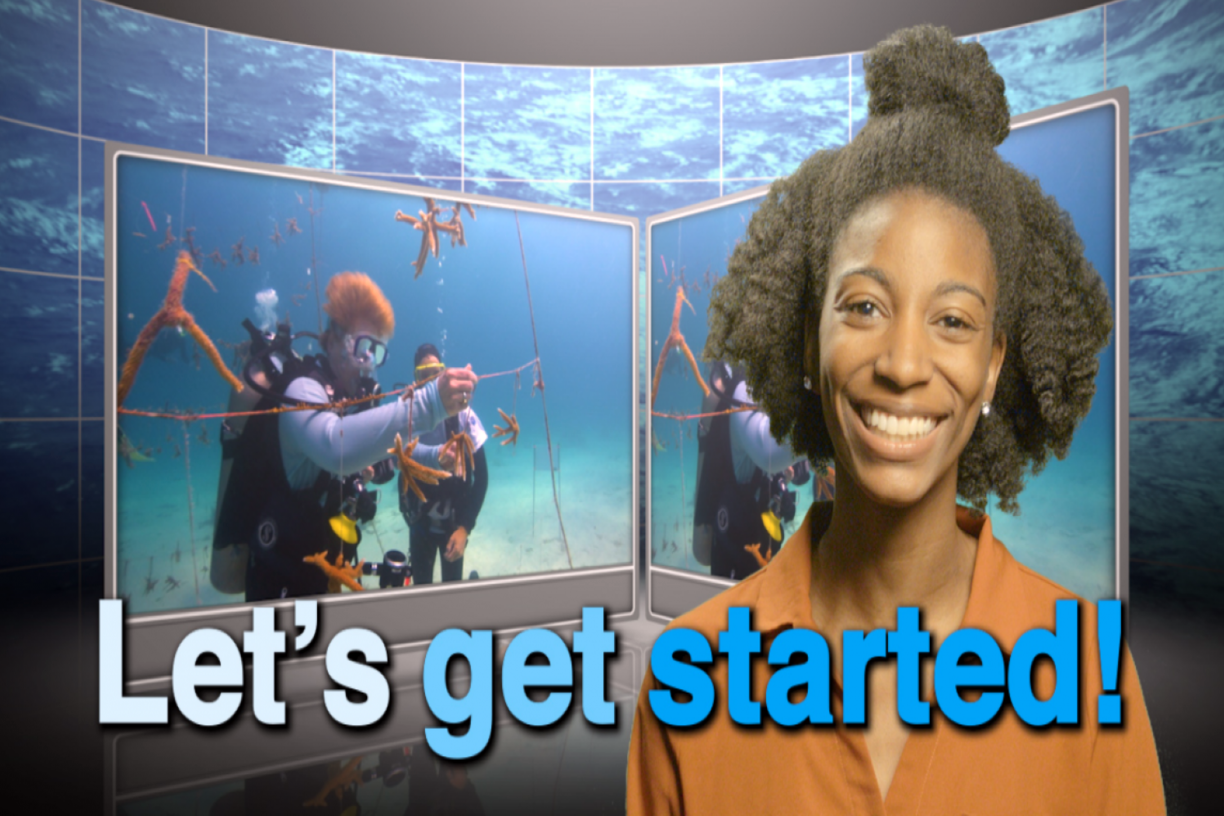 Image: 10+ Ocean Science Educational Resources to Check Out at Home
