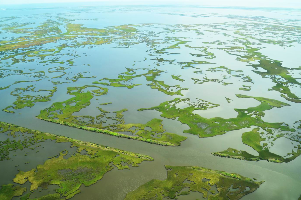 Image: Restoring the Gulf: 10 Years After Deepwater Horizon Oil Spill