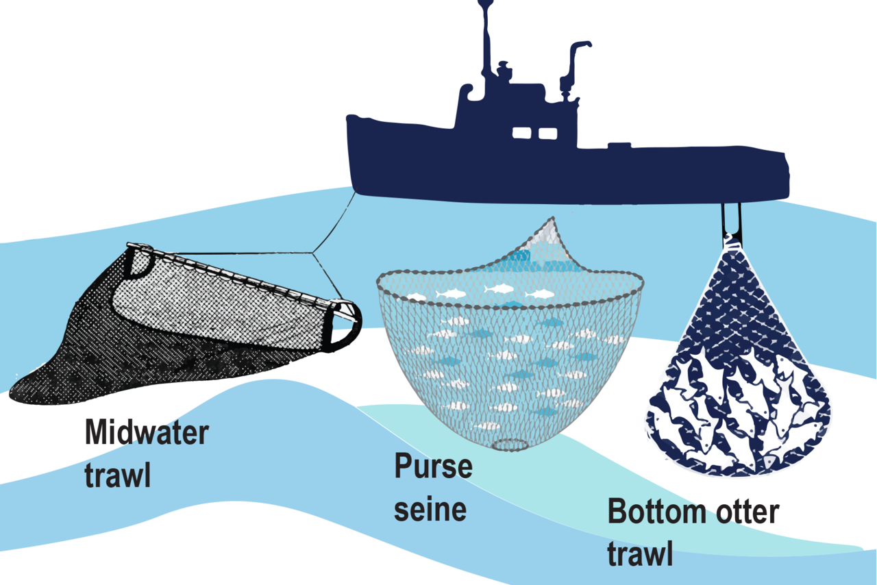 Industry-Funded Monitoring in the Atlantic Herring Fishery