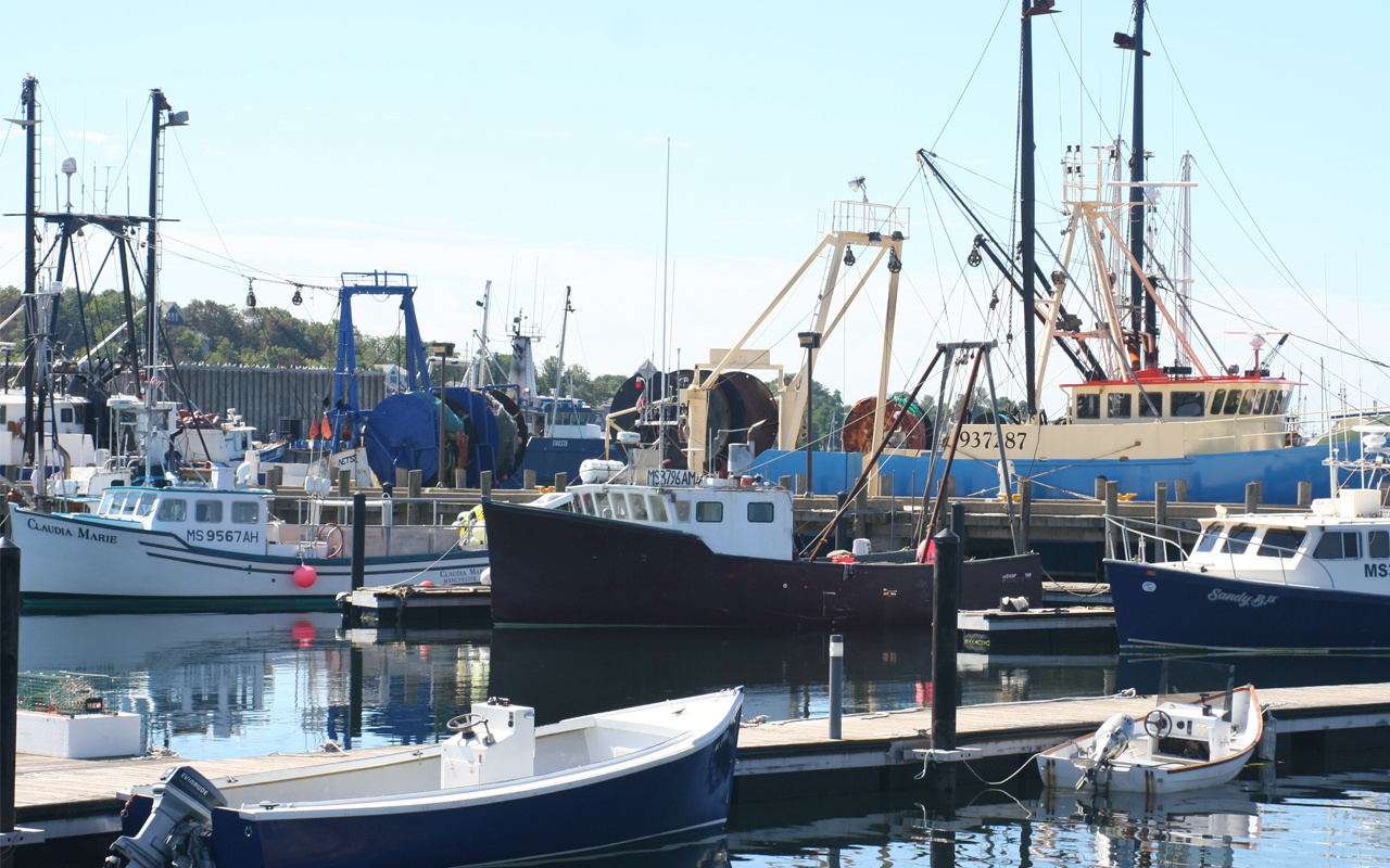 Image: Greater Atlantic Regional Fisheries Office