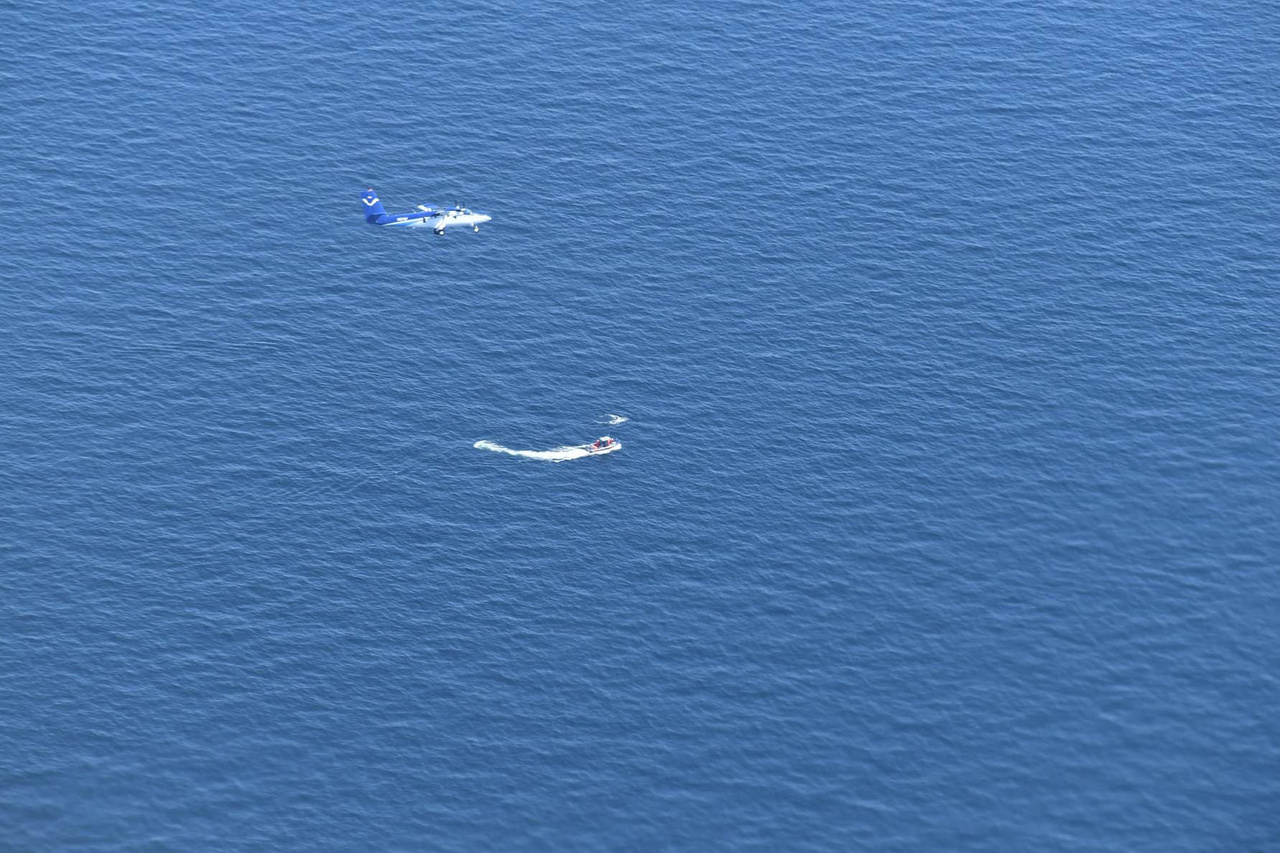Image: NOAA Aerial Whale Survey Team Assists with Disentangling North Atlantic Right Whale in the Gulf of St. Lawrence