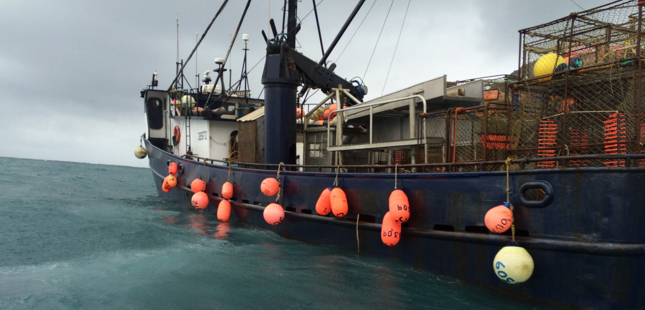 Image: Ten-Day At Sea Joint Mission Successfully Tallies 20+ Violations