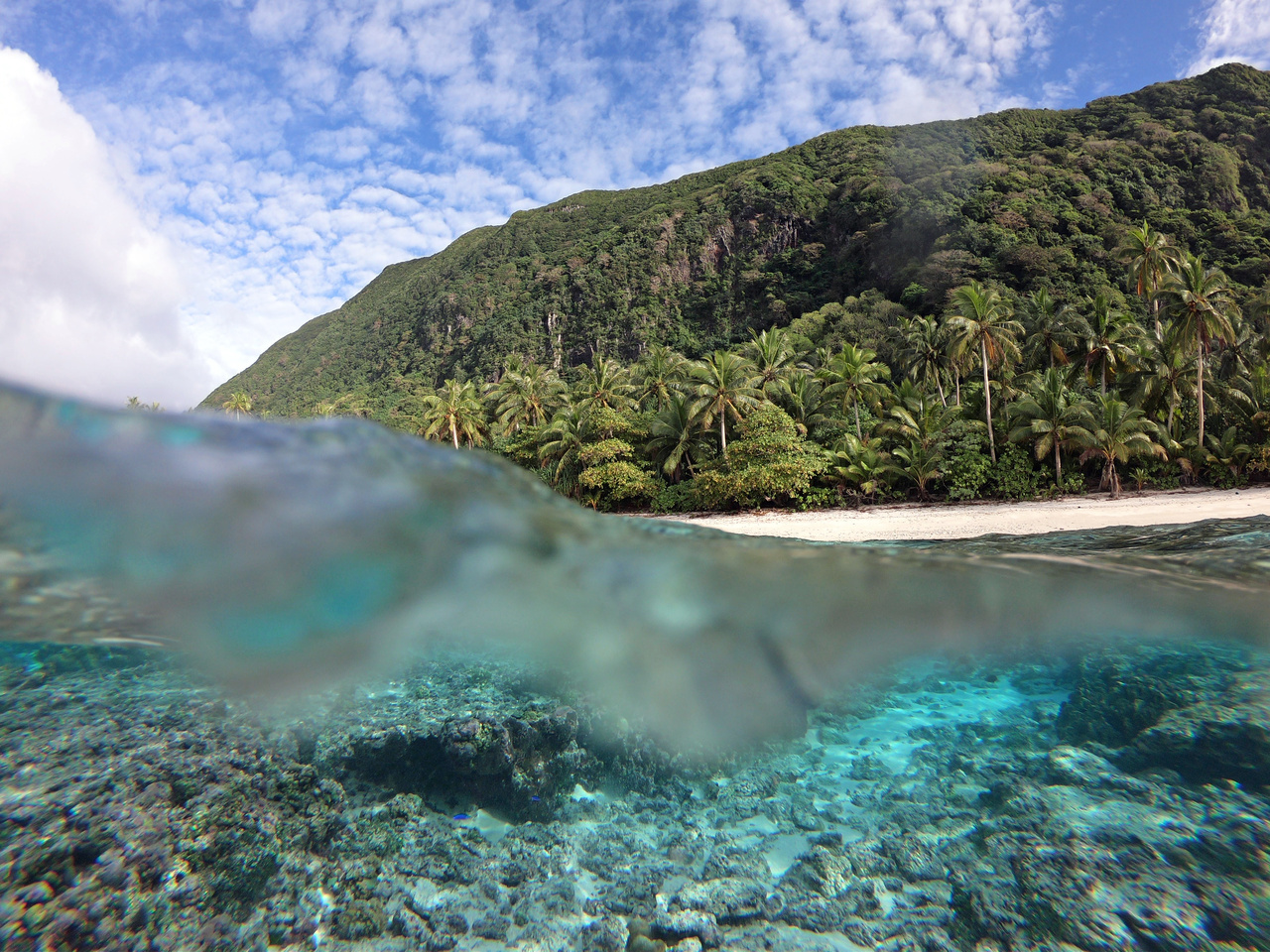 Image: Ecosystem Modeling in the Pacific