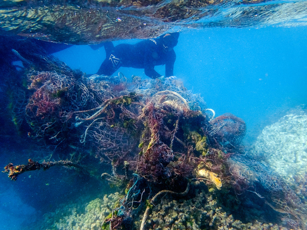 Image: Removal and Research: The Marine Debris Team Strikes Again