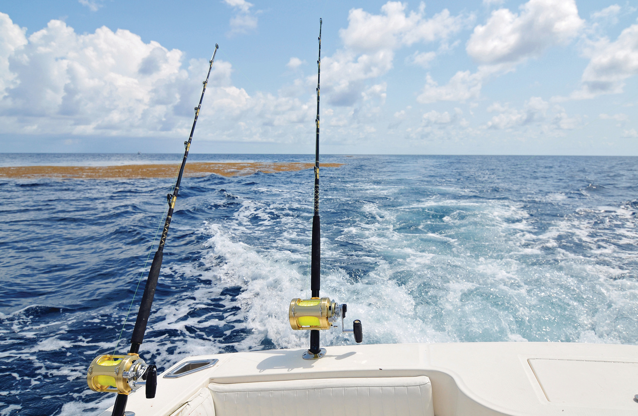 National Saltwater Recreational Fisheries Program