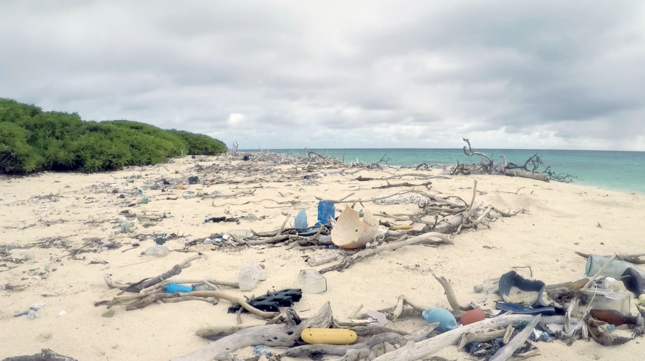 Image: Imua! Going Forward Island by Island to Clean Marine Debris