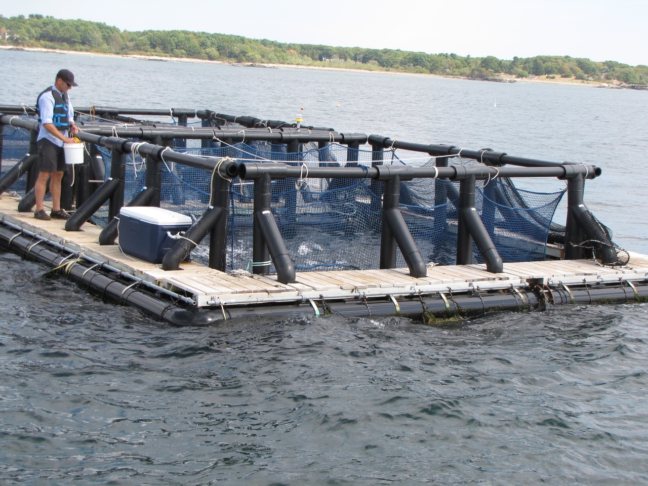 Image: Northeast Looking to Grow Aquaculture Industry, Brings Together NMFS Offices for Guidance