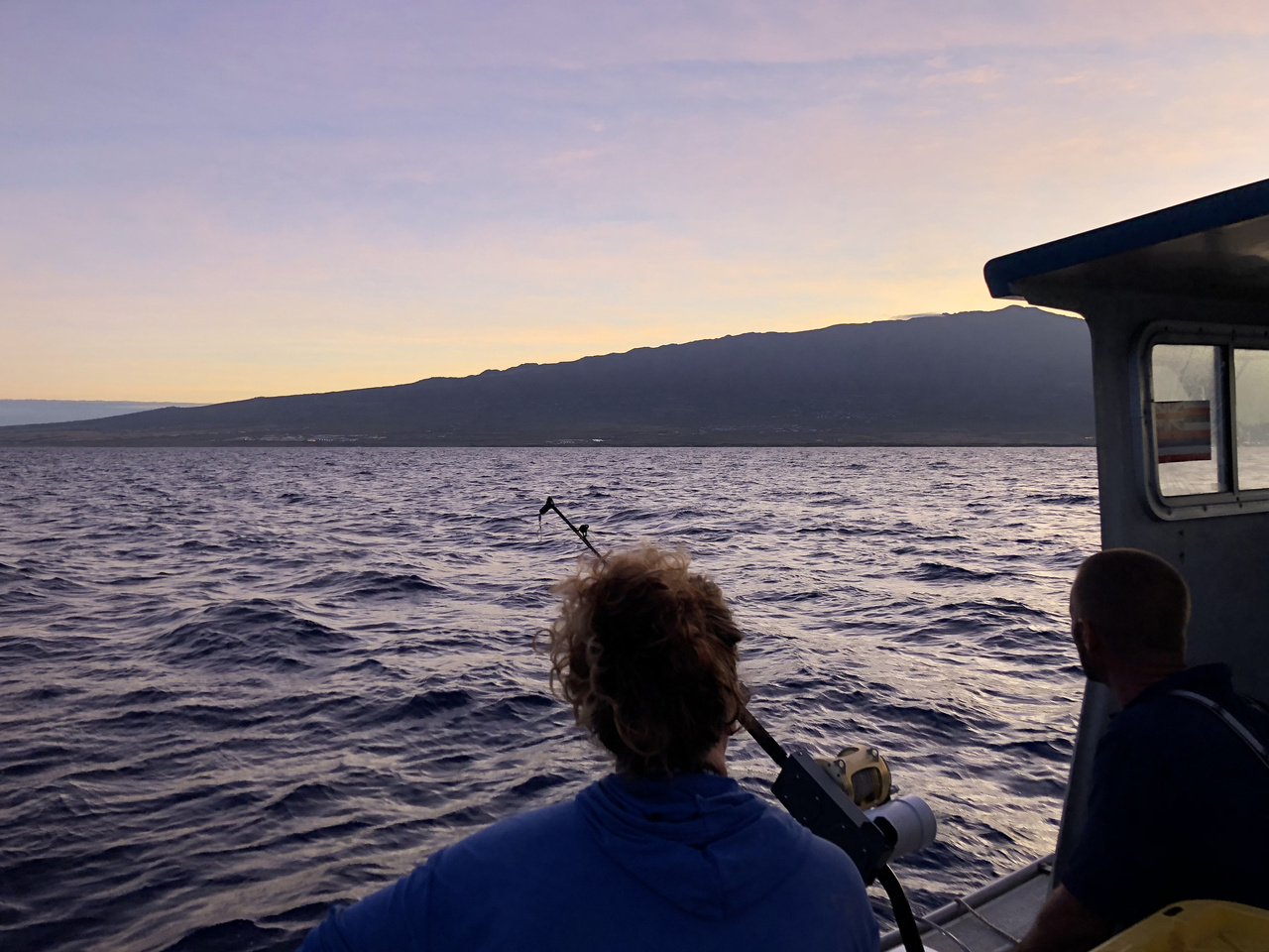 Image: Fishermen and Scientists Work Together to Reduce Shark Bycatch in Hawai'i