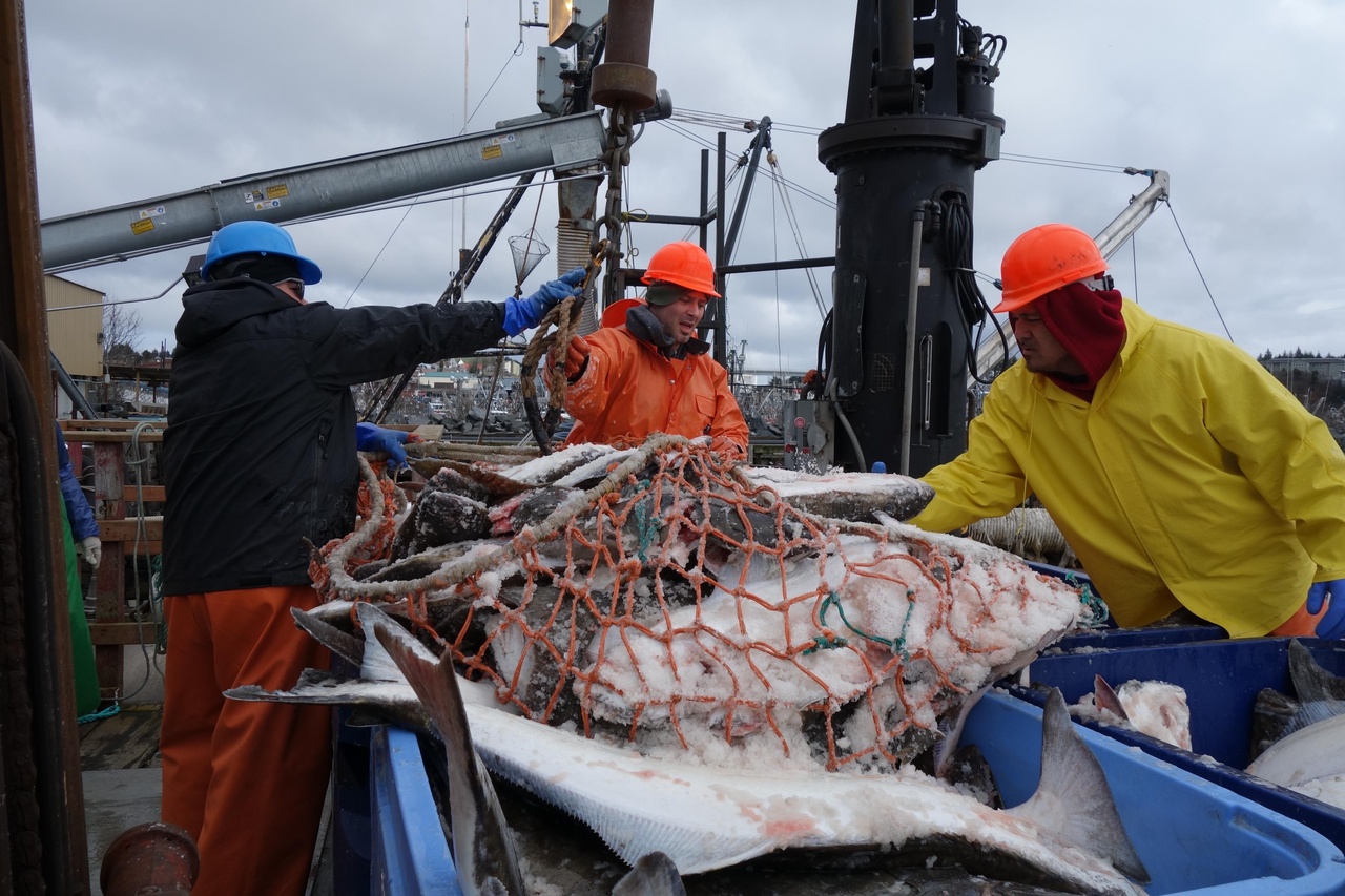 Image: Alaska Fisheries Under Close Watch to Ensure Compliance