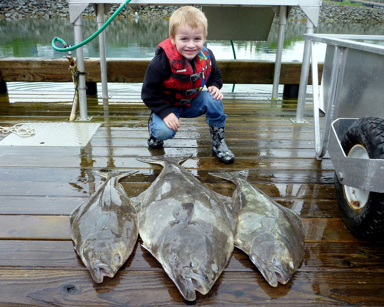 Image: NOAA Officers to Conduct Patrols During Halibut Fishing Opening