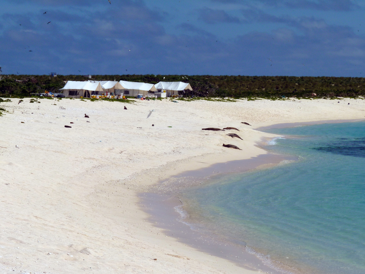 Image: Field Notes: Science and Stewardship in the Northwestern Hawaiian Islands