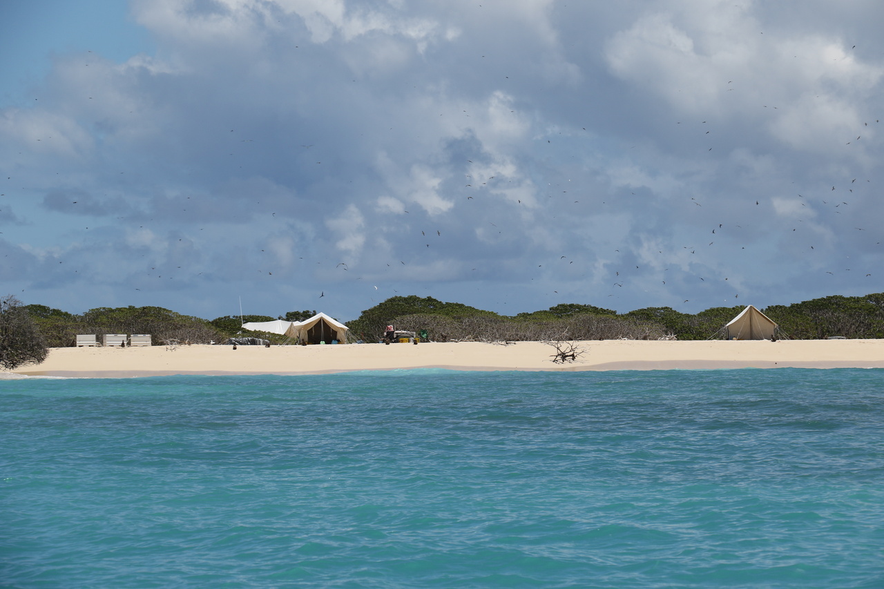 Image: Field Biologists Return from the Northwestern Hawaiian Islands