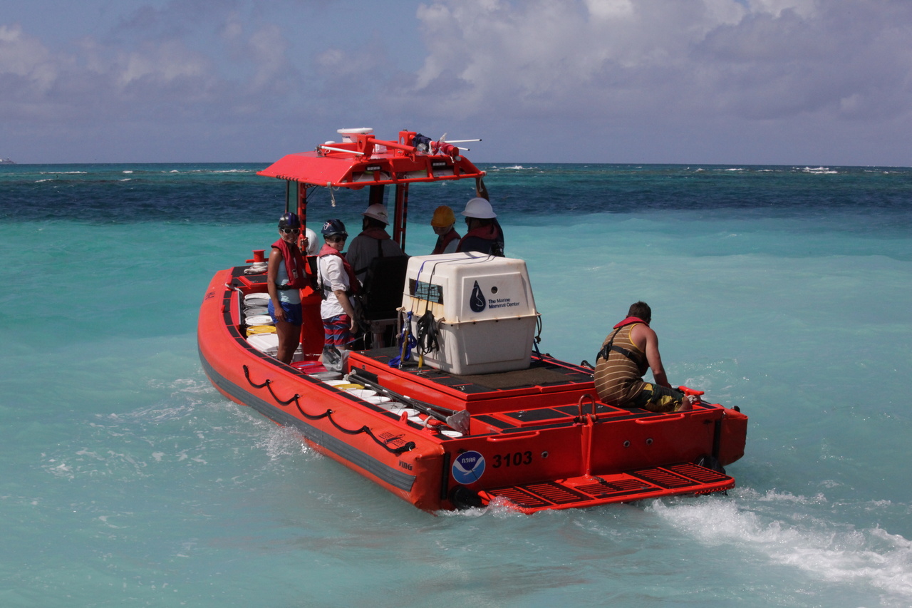 Image: Expedition to Support Monk Seal Research and Recovery Efforts in the Northwestern Hawaiian Islands