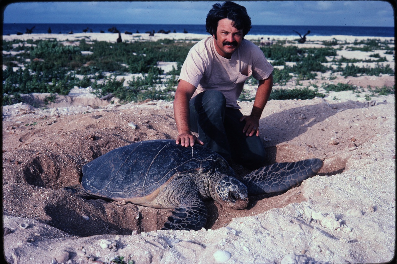 Image: A Look Back: Scientist Dedicates Career to Sea Turtles in Hawai‘i