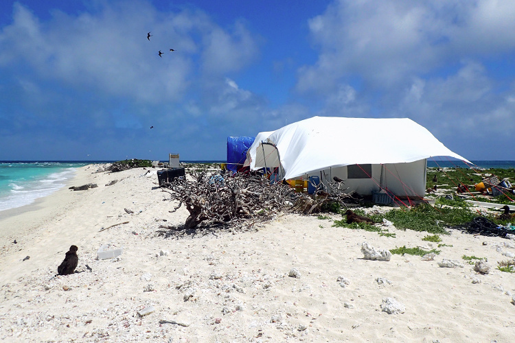 Image: A Day in the Life of East Island Exiles