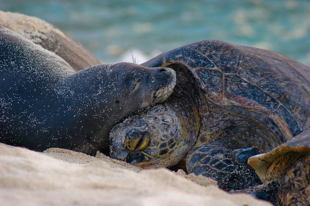 Image: Celebrating Our Work to Save Endangered Species