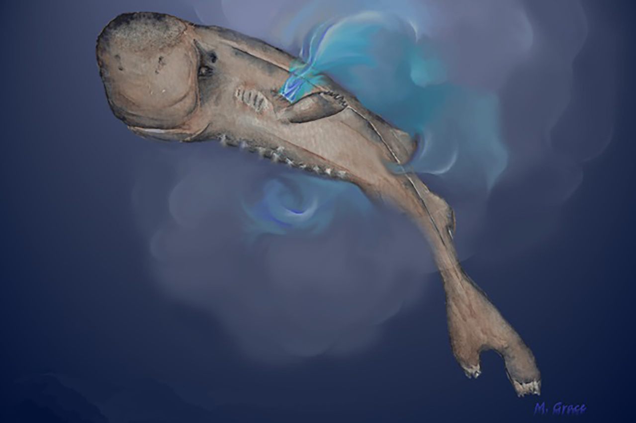 Image: Tiny Shark Fits in Your Pocket and Glows in the Dark