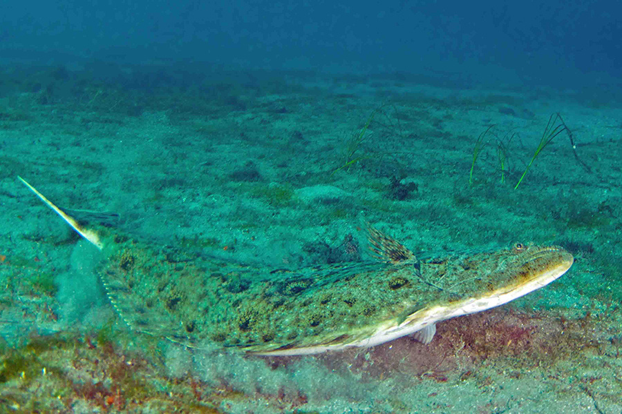 Image: Enforcement Focusing on Subsistence Fishing Violations