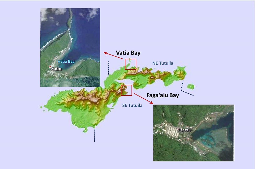 Image: Coral Reef Monitoring Mission: Investigating Land-Based Pollution in American Samoa