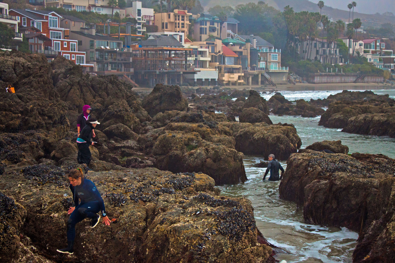 Image: New NOAA Fisheries Plan Adopts Ecosystem Management Principles
