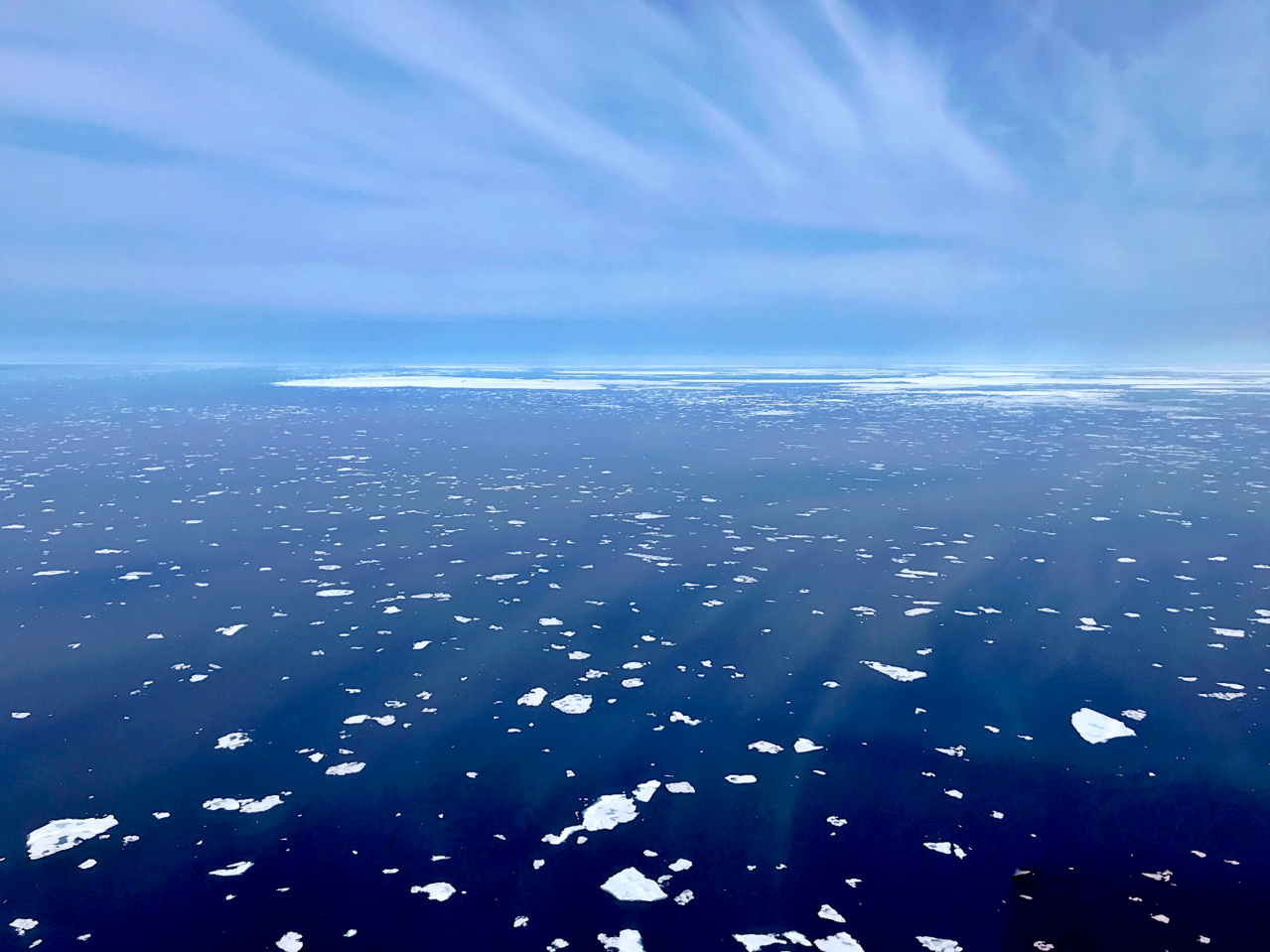 Image: 2019 Aerial Surveys Of Arctic Marine Mammals - Post 3