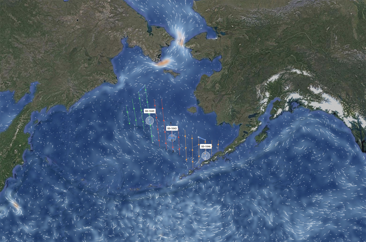 Image: Pollock Survey Begins in Eastern Bering Sea