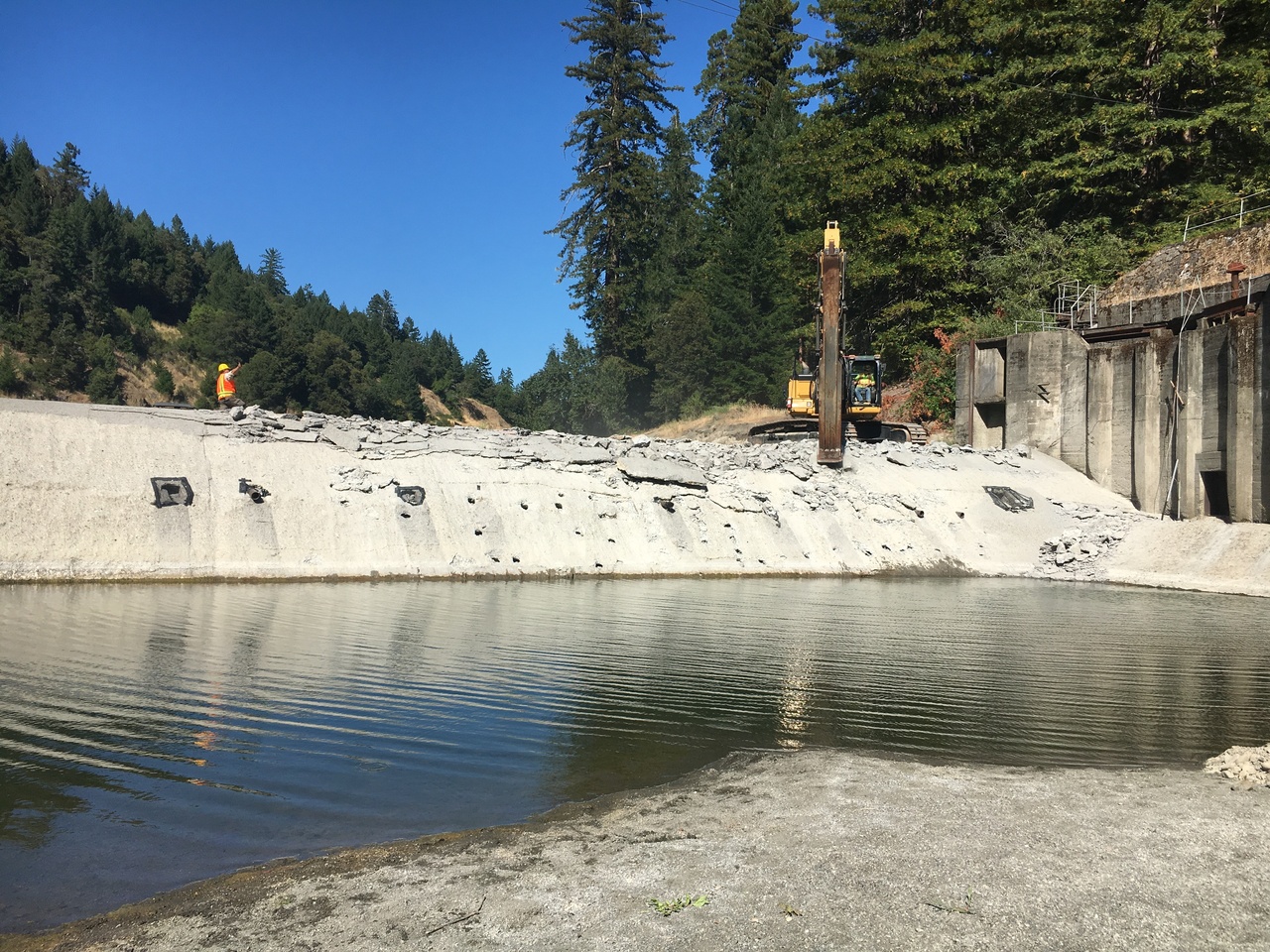 Image: Three Key Habitats on the Eel River - A Comprehensive Restoration