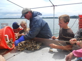 Image: Puget Sound’s Finely-Aged Oysters