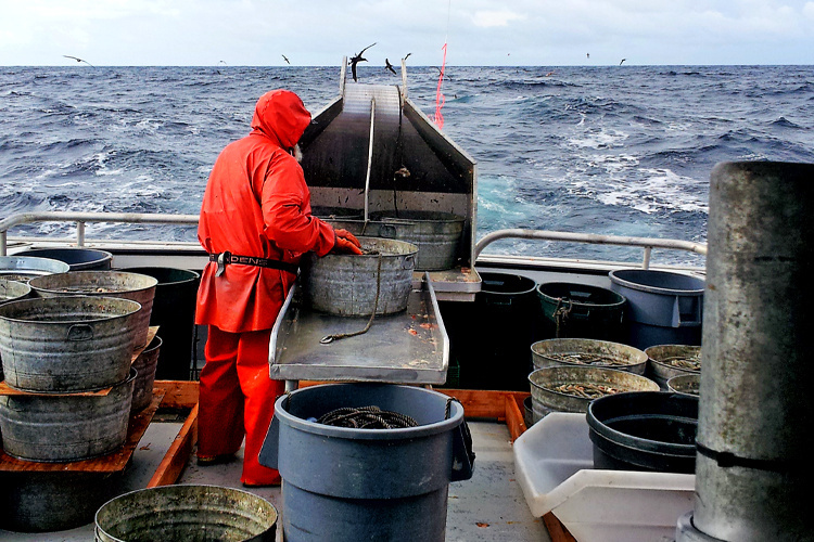 Image: New Study Finds Incidents of Fishery Observer Harassment in Alaska Maritime Workplace Is Underreported