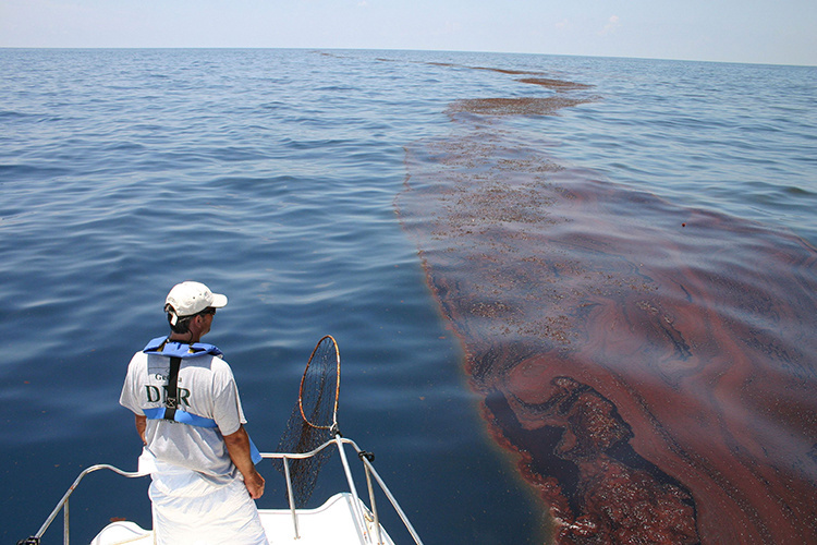 Image: 10 Years of NOAA’s Work After the Deepwater Horizon Oil Spill: A Timeline