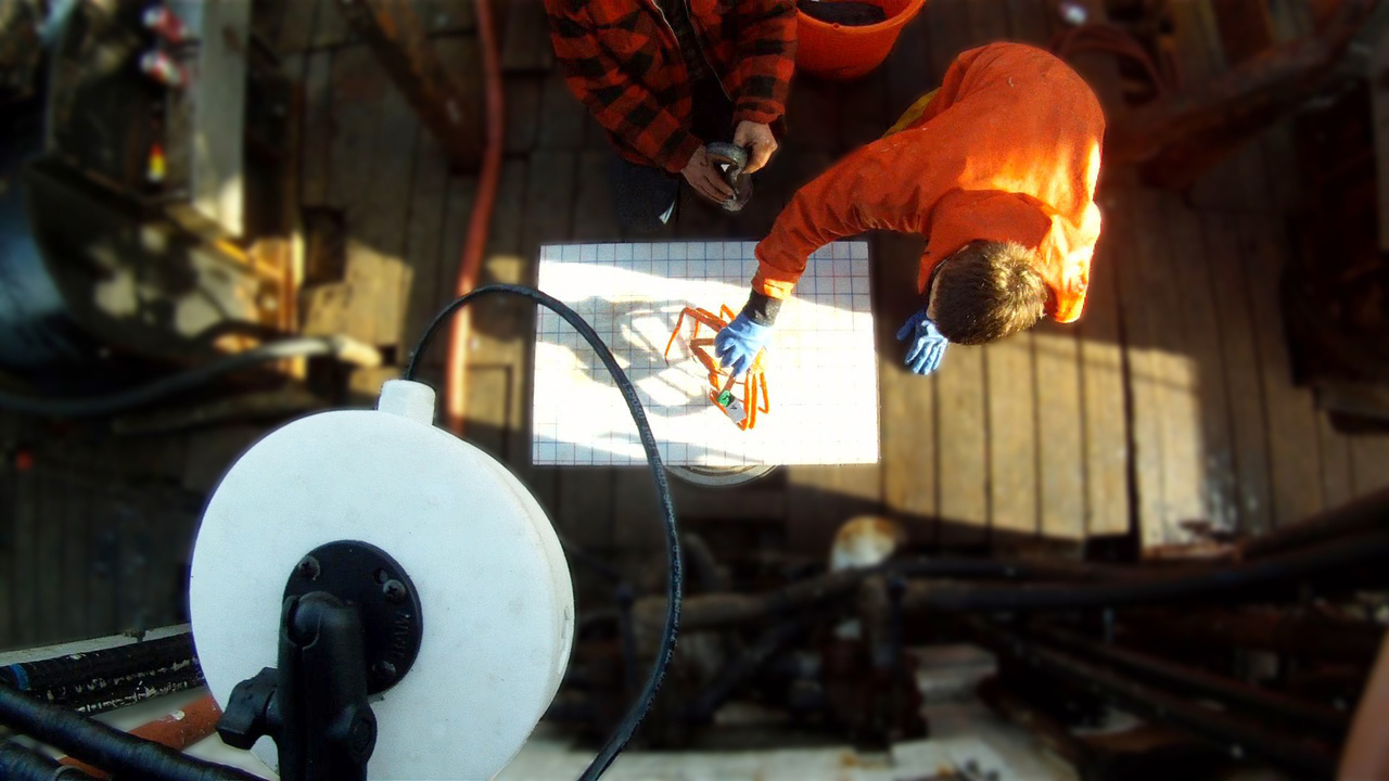 Image: NOAA to Increase Enforcement Actions to Ensure Safety of Federal Fishery Observers, Monitors