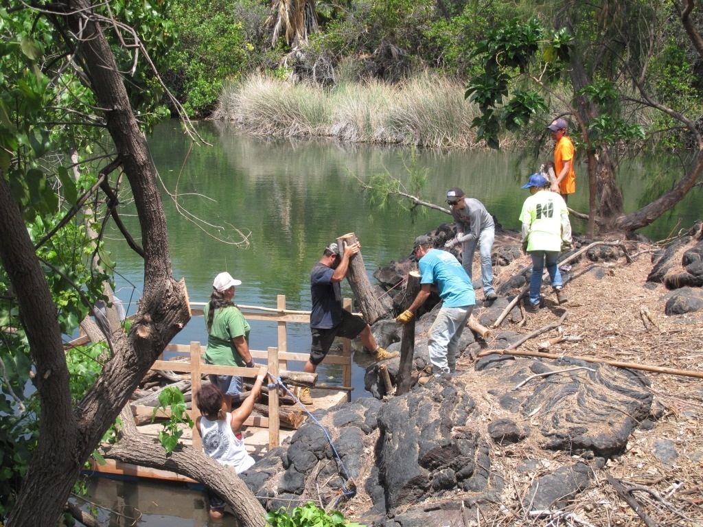 Image: $1.2 Million in Funding for Partners Working in NOAA’s Habitat Focus Areas
