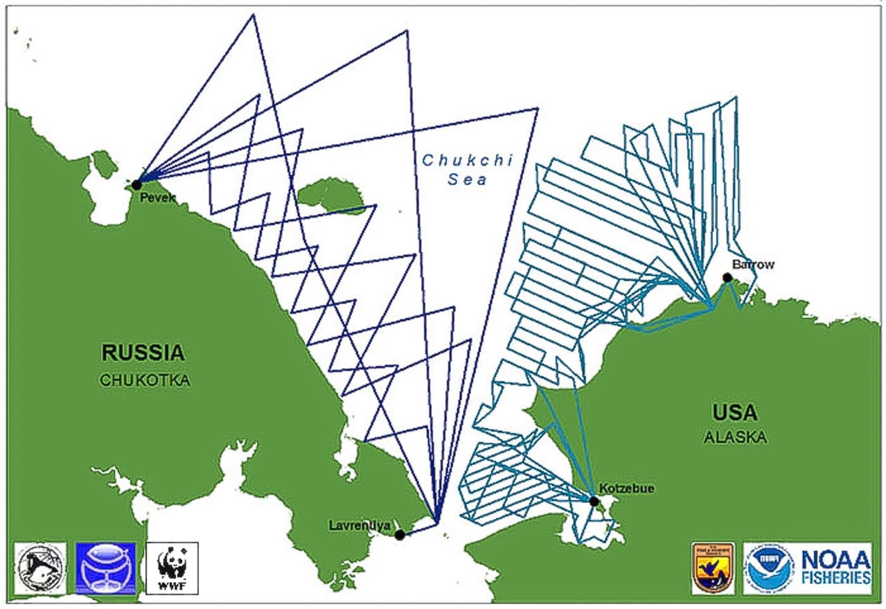 Image: Bilateral Effort Underway To Assess Populations Of Arctic Seals And Polar Bears