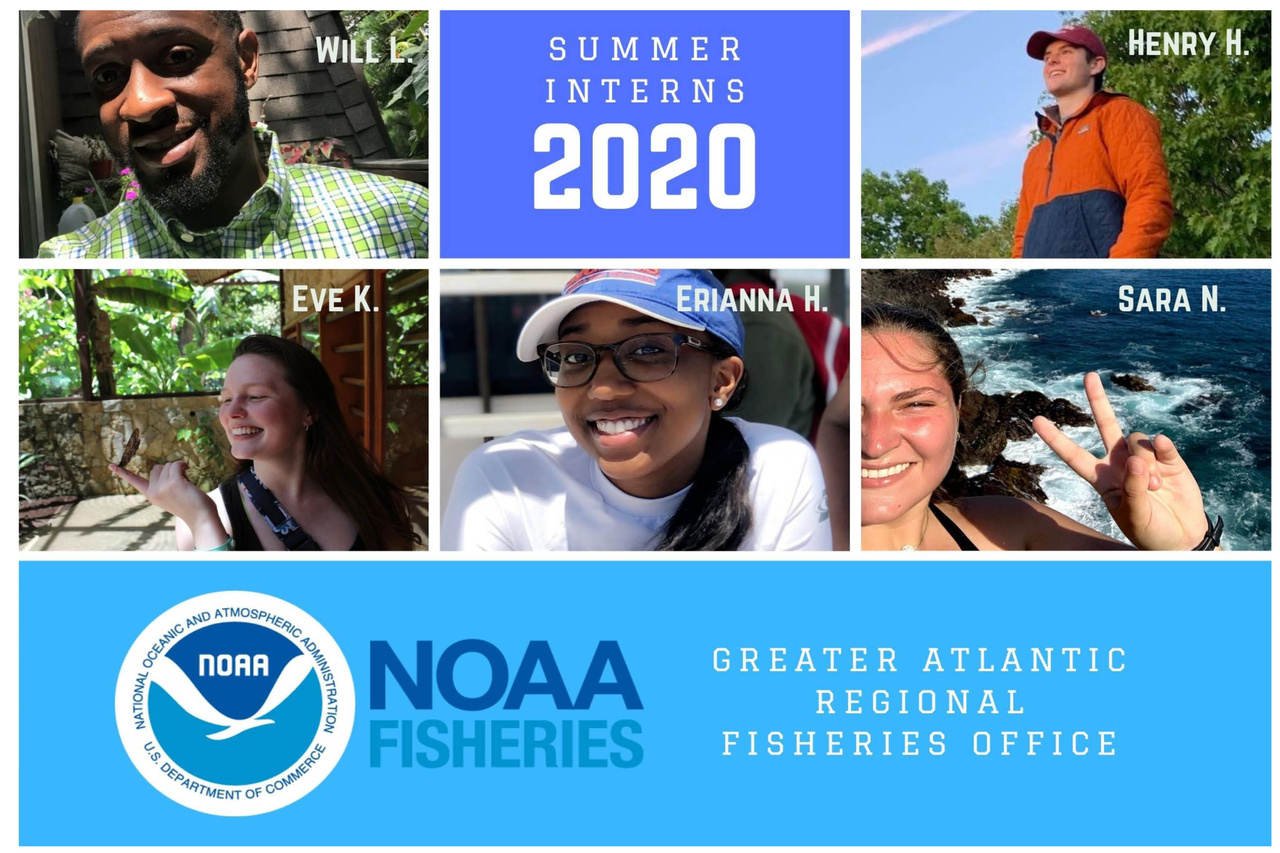 Image: Meet the Summer Interns of the Greater Atlantic Regional Fisheries Office