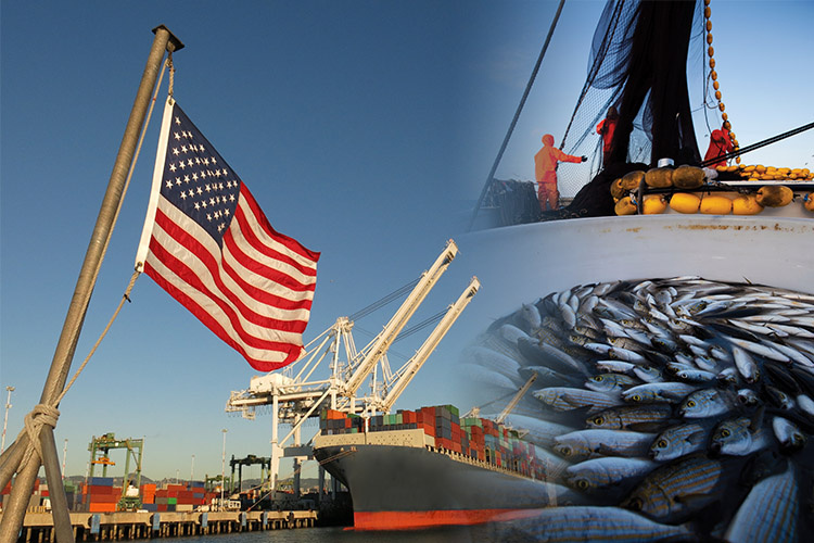 Image: Keeping IUU Fish and Fish Products Out of U.S. Markets