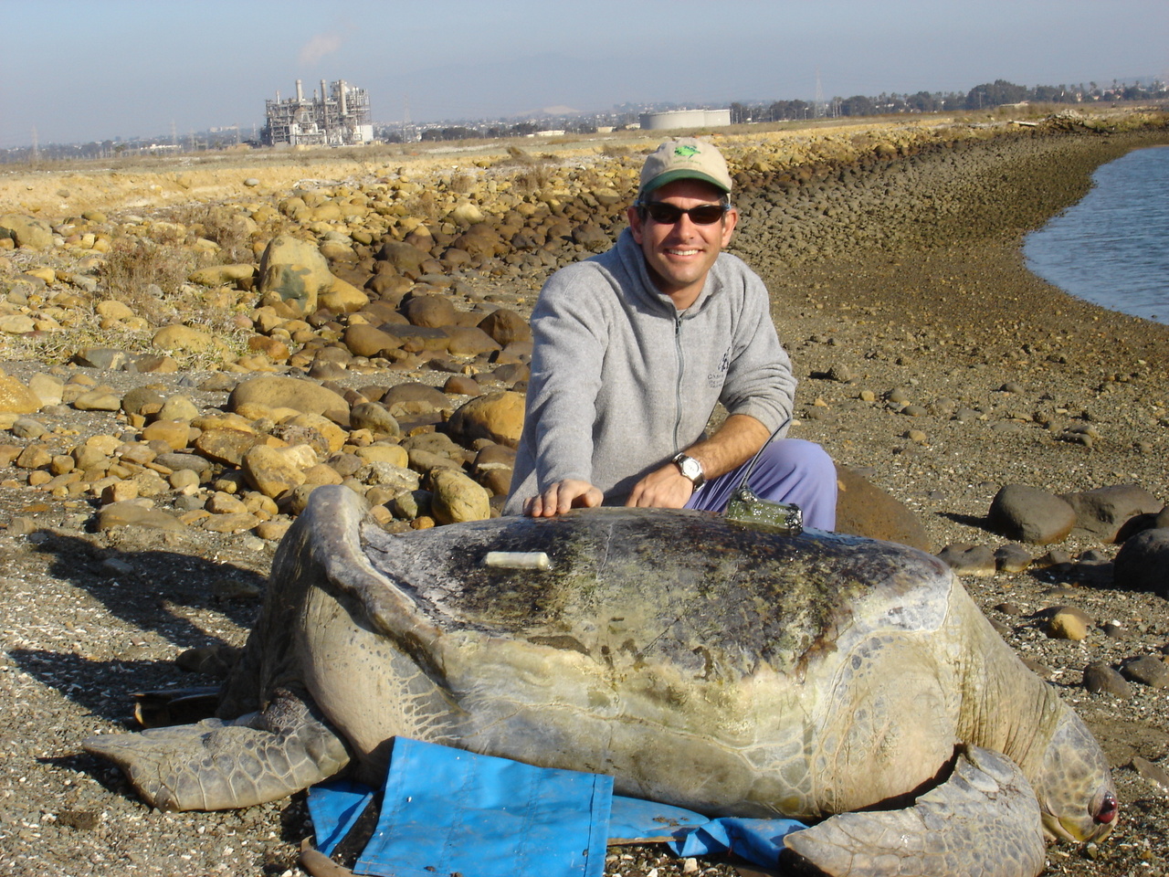 Image: Faces of Sea Turtle Conservation: Jeff Seminoff, Marine Ecologist