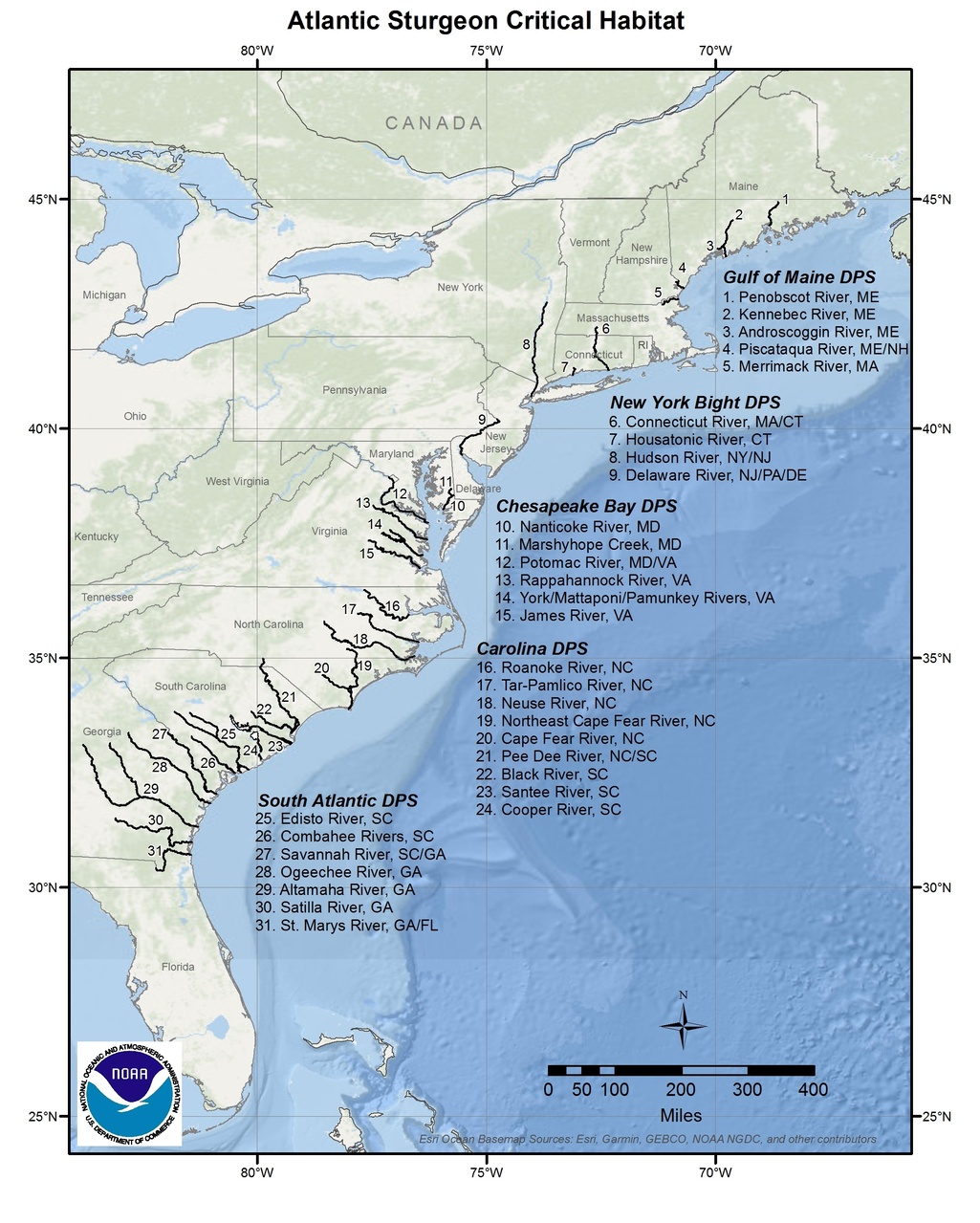 Image: Atlantic Sturgeon Critical Habitat Map and GIS Data